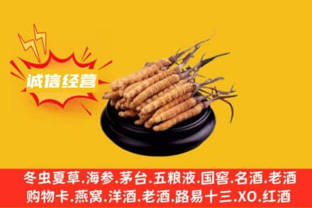 东港市回收冬虫夏草